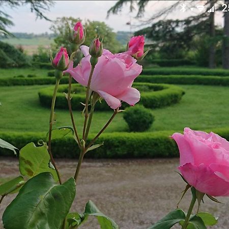 مبيت وإفطار LʼIsle-Jourdain Chateau De Clermont-Saves المظهر الخارجي الصورة