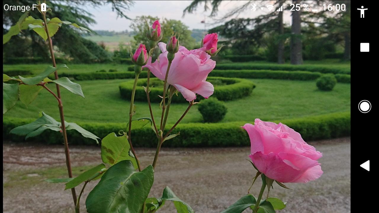 مبيت وإفطار LʼIsle-Jourdain Chateau De Clermont-Saves المظهر الخارجي الصورة
